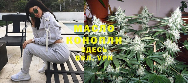 молекула духа Вязьма