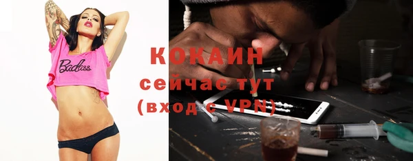 молекула духа Вязьма