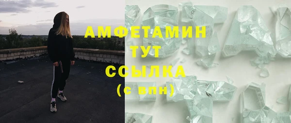 молекула духа Вязьма