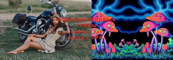 стафф Вязники