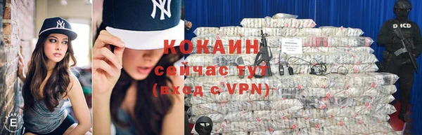 молекула духа Вязьма